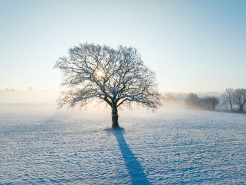 BUBENDORFF-VISUEL-ACTU-VRS-HIVER